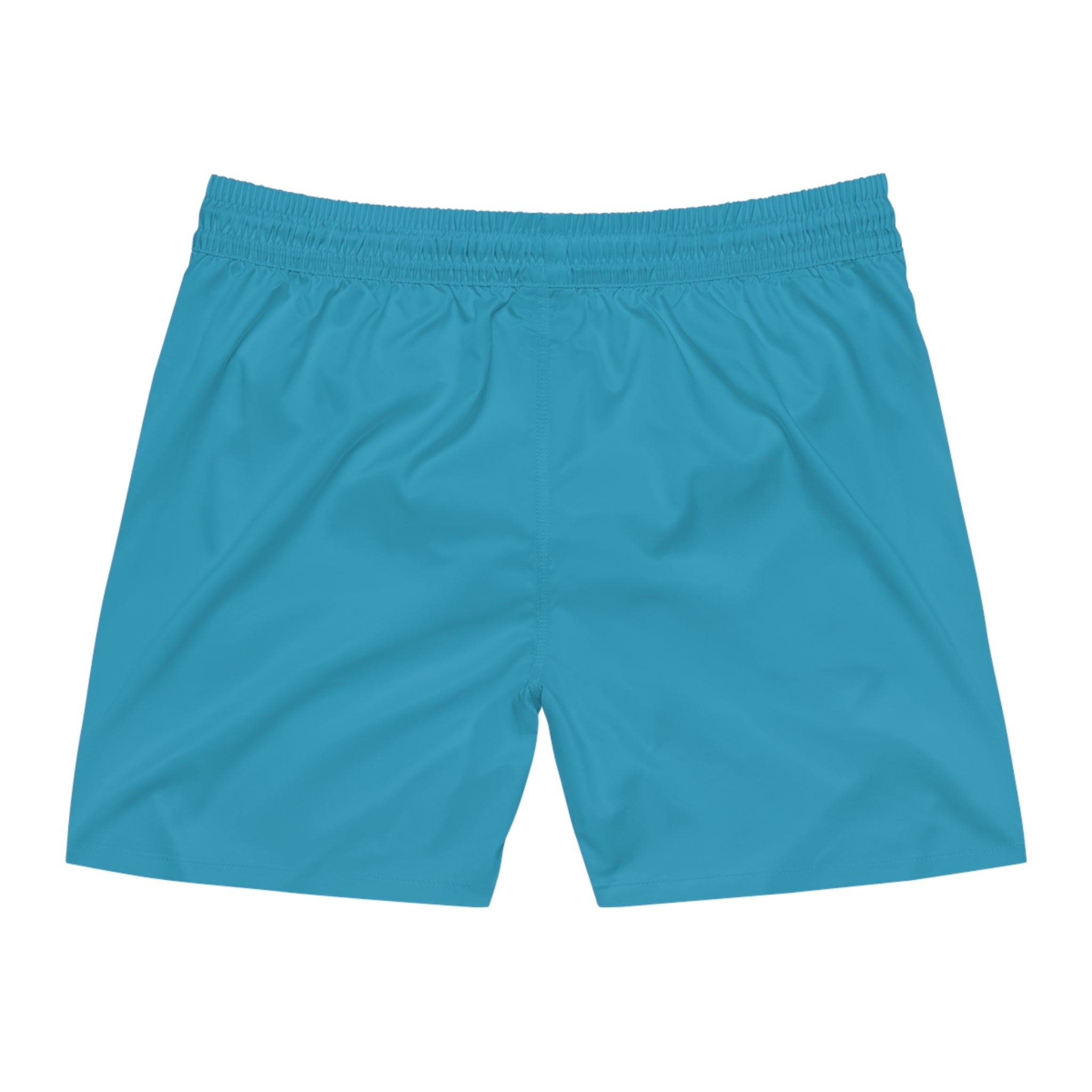 Ambitious Men's Swim Shorts BLUE